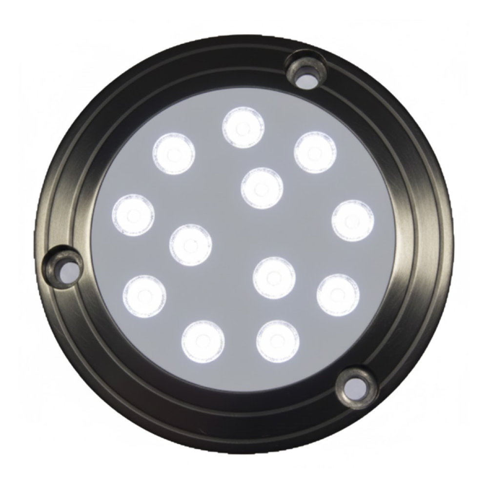 SU ALTI BRONZ 12 LED LAMBA MAVİ